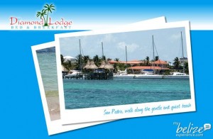 diamond-lodge-bed-breakfast(2)