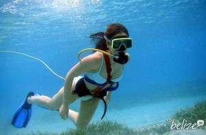 snuba-seatrek-discovery-expeditions(6)