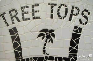 tree-tops-guesthouse(1)